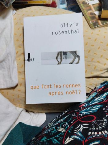 Que font les rennes après Noël