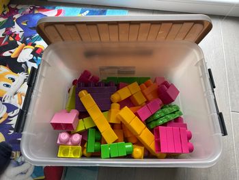 Caisse premiers Duplo Abrick