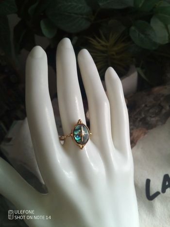 Bague ormeaux étoile du Nord