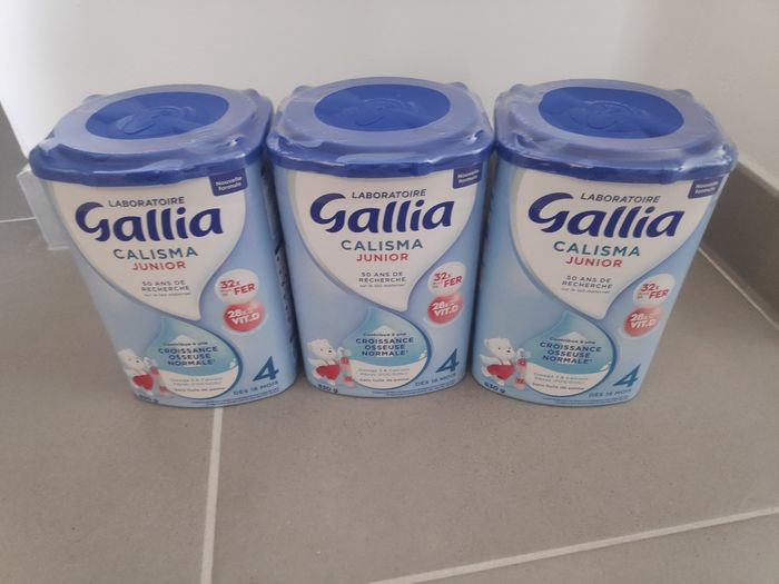 Lot de 3 pots Gallia