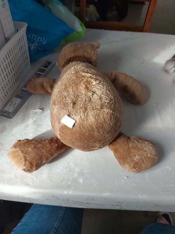 Ours en peluche - photo numéro 4