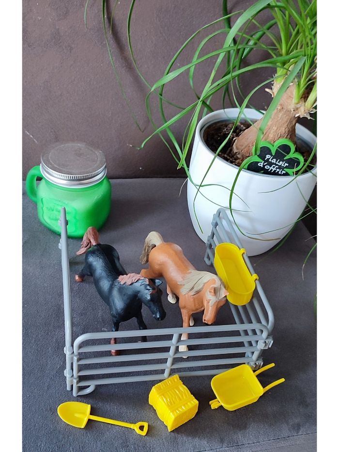Chevaux et accessoires