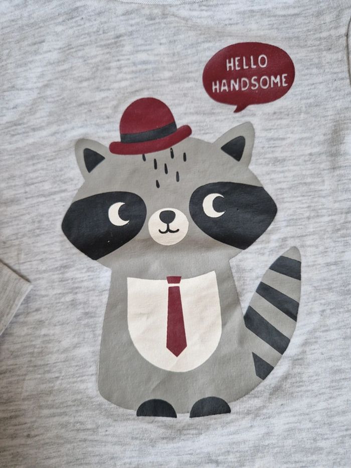 T-shirt Raton laveur - photo numéro 2