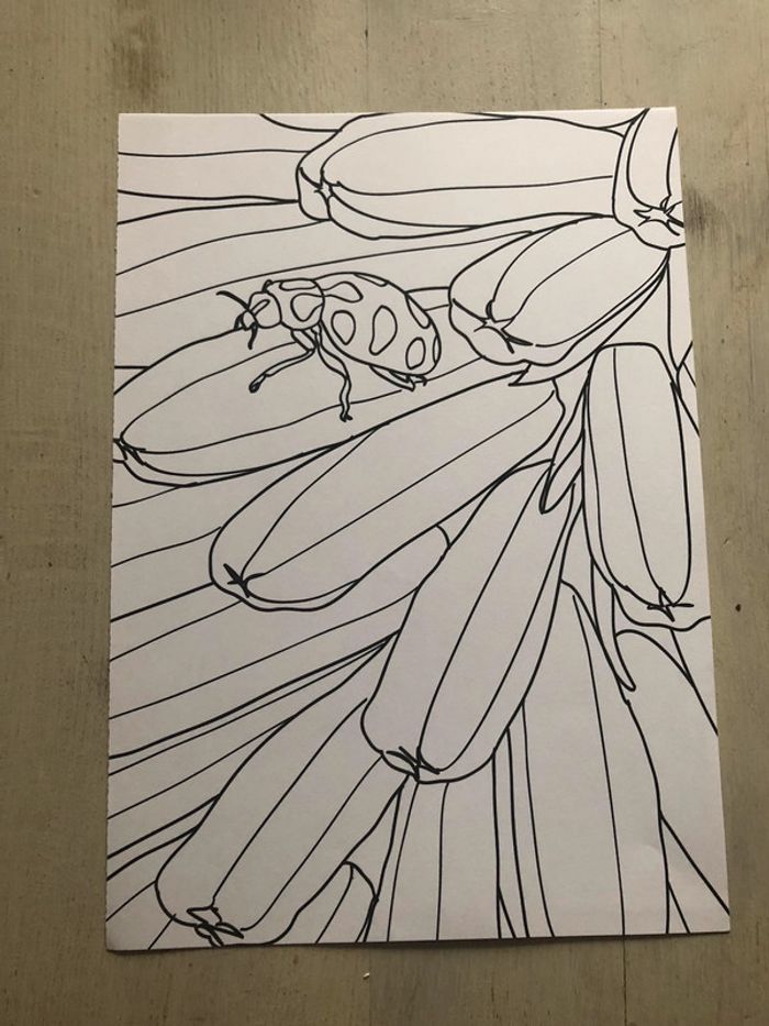 Lot de 10 coloriages neufs - photo numéro 11