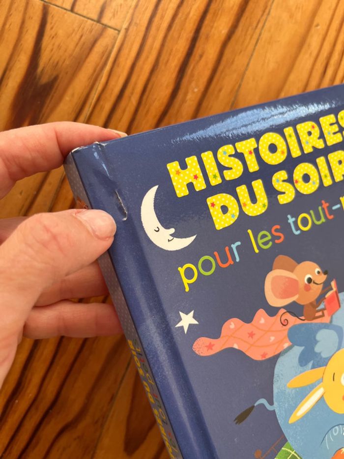 Histoires du soir pour les plus petits - photo numéro 4