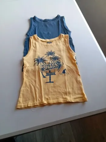 Lot 2 tee shirt sans manche