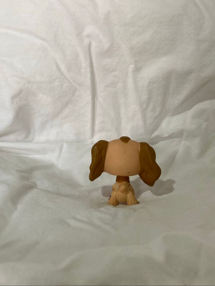 lps cocker - photo numéro 3