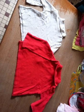 Lot 2 pull 2ans coton