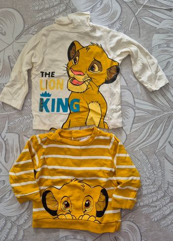 Pull + Tee-shirt manche longue 