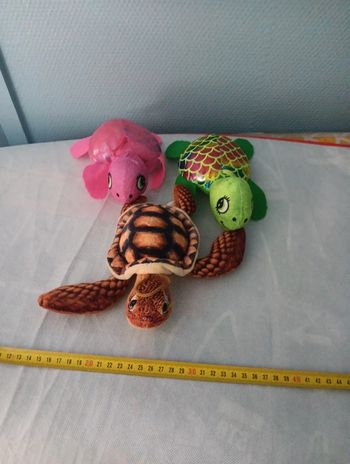 Tortues