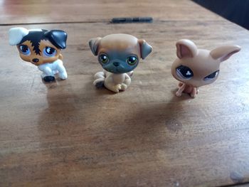 Lot Little Pet Shop
