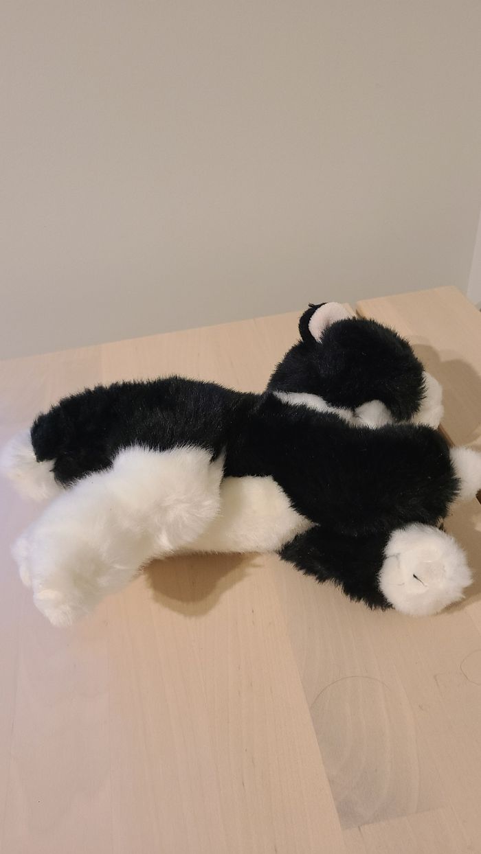 Doudou chat - photo numéro 3