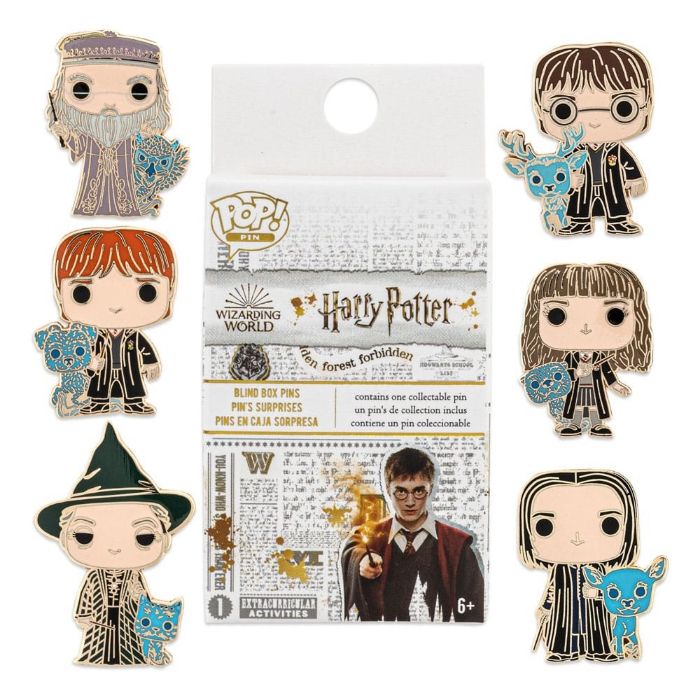 Un pin's mystère harry potter