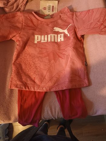 Puma