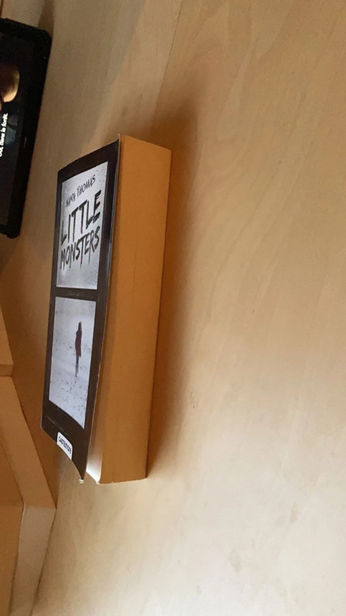 Little Monsters de Kara Thomas - photo numéro 3