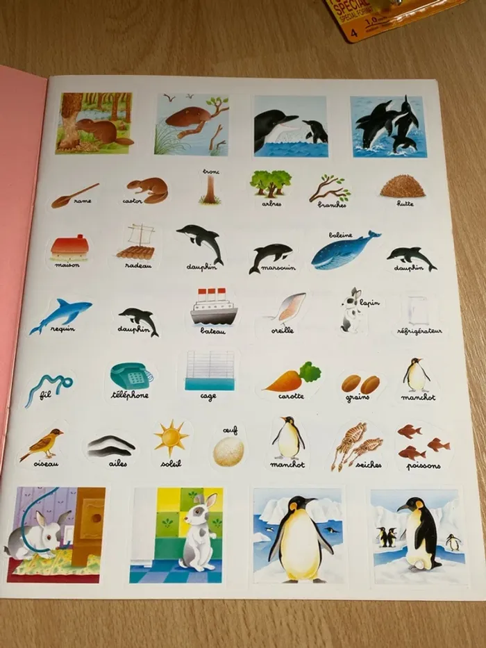 Livre éducatif niveau CP - photo numéro 2