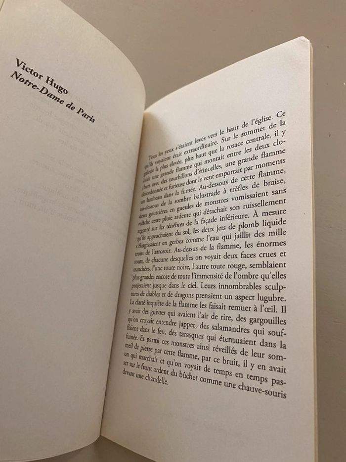 Livre Notre Dame - photo numéro 9
