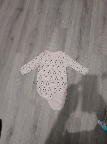 Body pingouins 6 mois