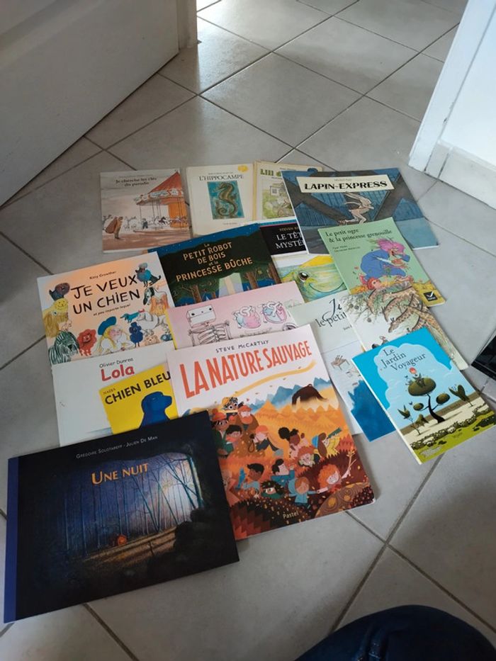 Lot 16 livres histoires albums jeunesse