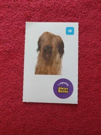 Autocollant nos amies les bêtes