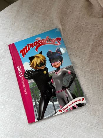 Livre miraculous 28
