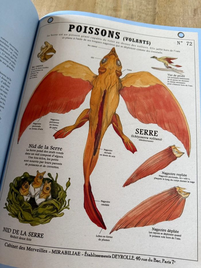 Plume de Carotte Créatures fantastiques Deyrolle livre grand album encyclopédie - photo numéro 10