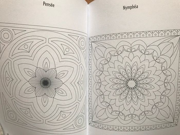 Mandalas à colorier - photo numéro 3