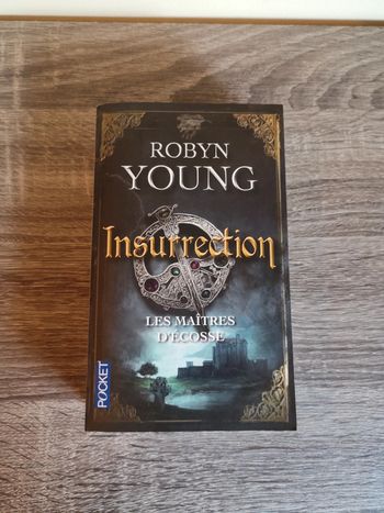 Livre histoire Moyen-âge Insurrection de Robyn Young