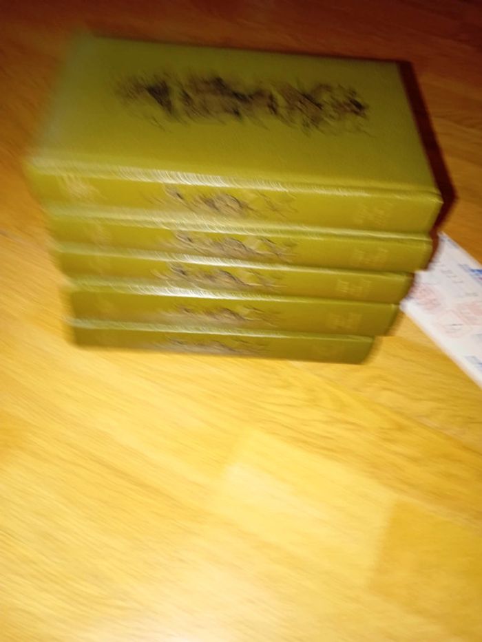 Lot de livre tout homme est une guerre civile - photo numéro 2