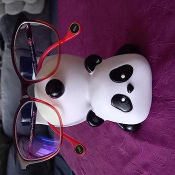 Porte lunettes panda neuf