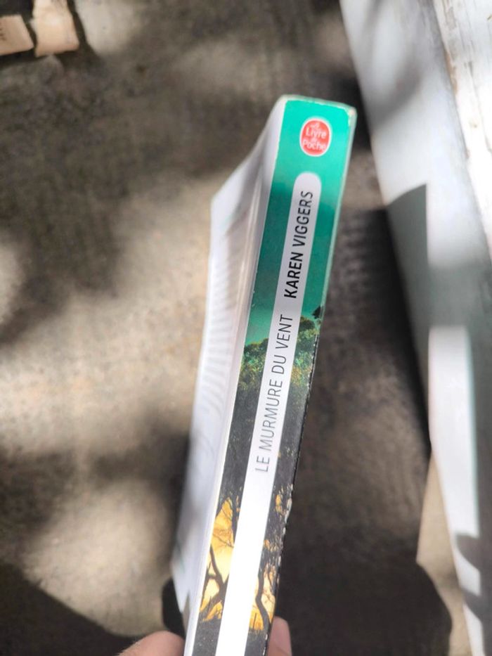 Karen viggers le murmure du vent - photo numéro 2