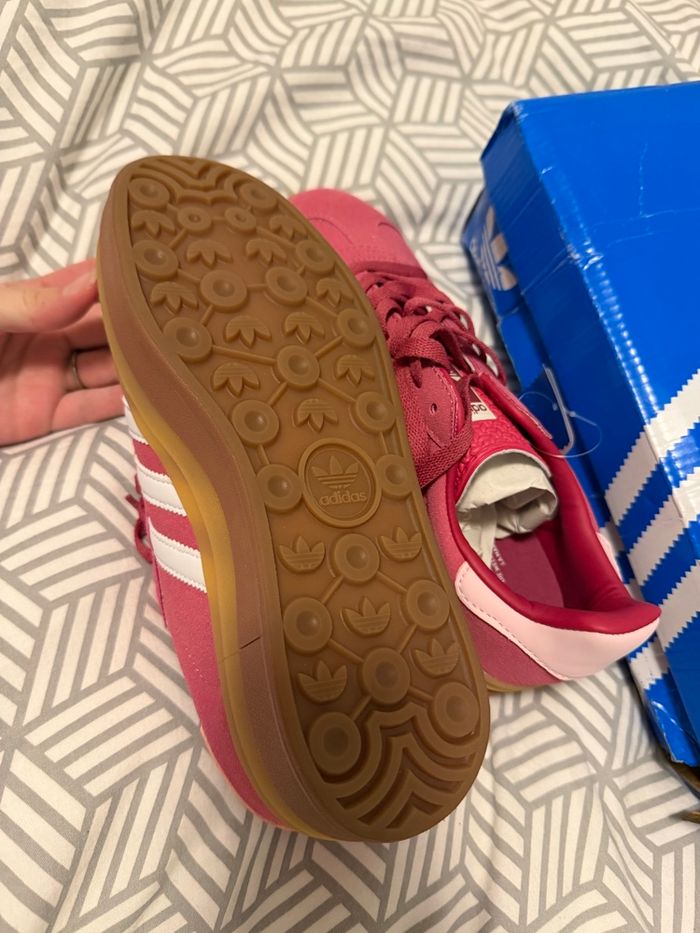 Gazelle - photo numéro 6