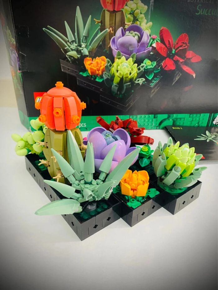 LEGO Icons 10309 - Les Succulents - Complet avec Boîte - photo numéro 6