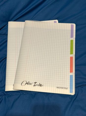 Lot de 2 cahiers 24 x 32 cm / 4 index /  polypropylène 140 pages séyès Majuscule