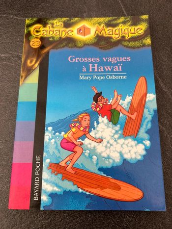 La cabane magique tome 23 grosses vagues à Hawaï