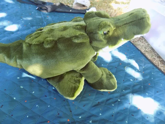 peluche - photo numéro 3