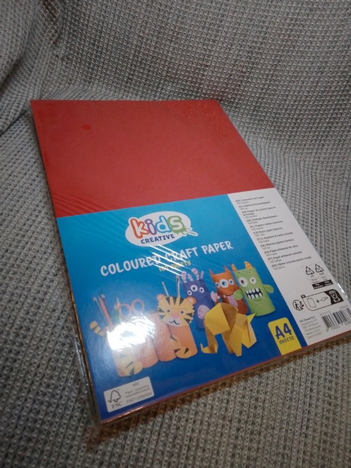 Papier de couleur A4 multicolore x100 - photo numéro 8
