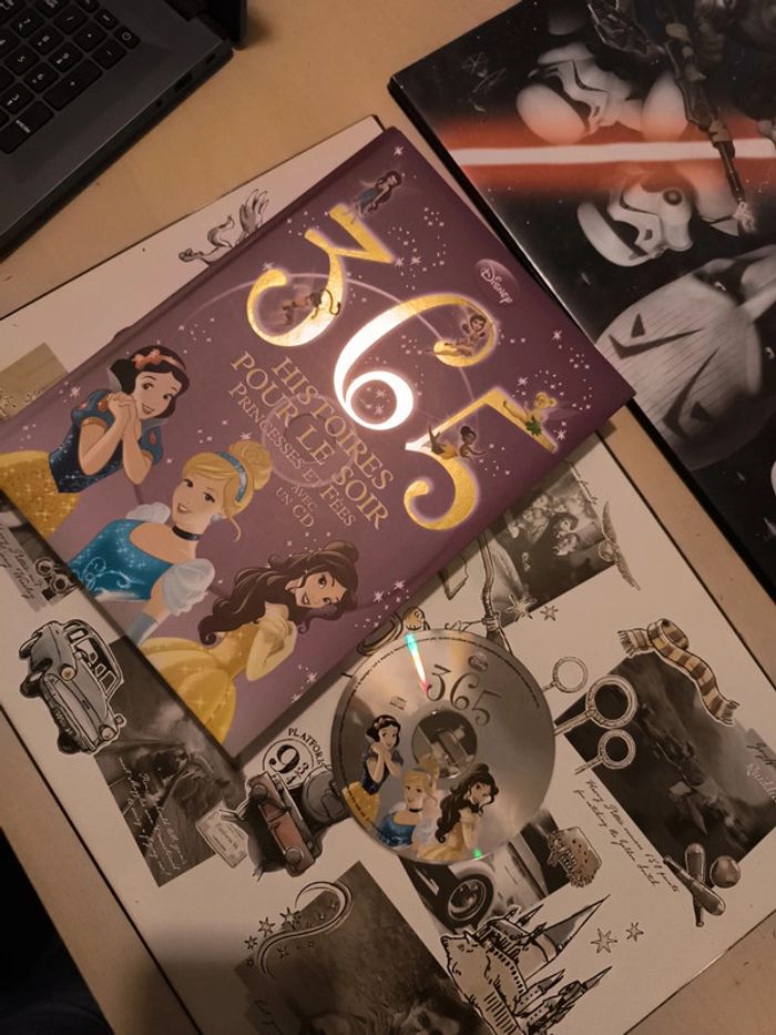 365 histoires pour le soir. Princesses et fées . Avec un cd