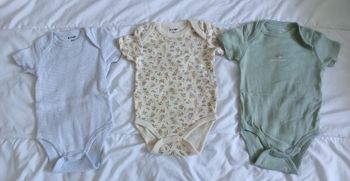 Lot bodies MC garçon 6 mois 