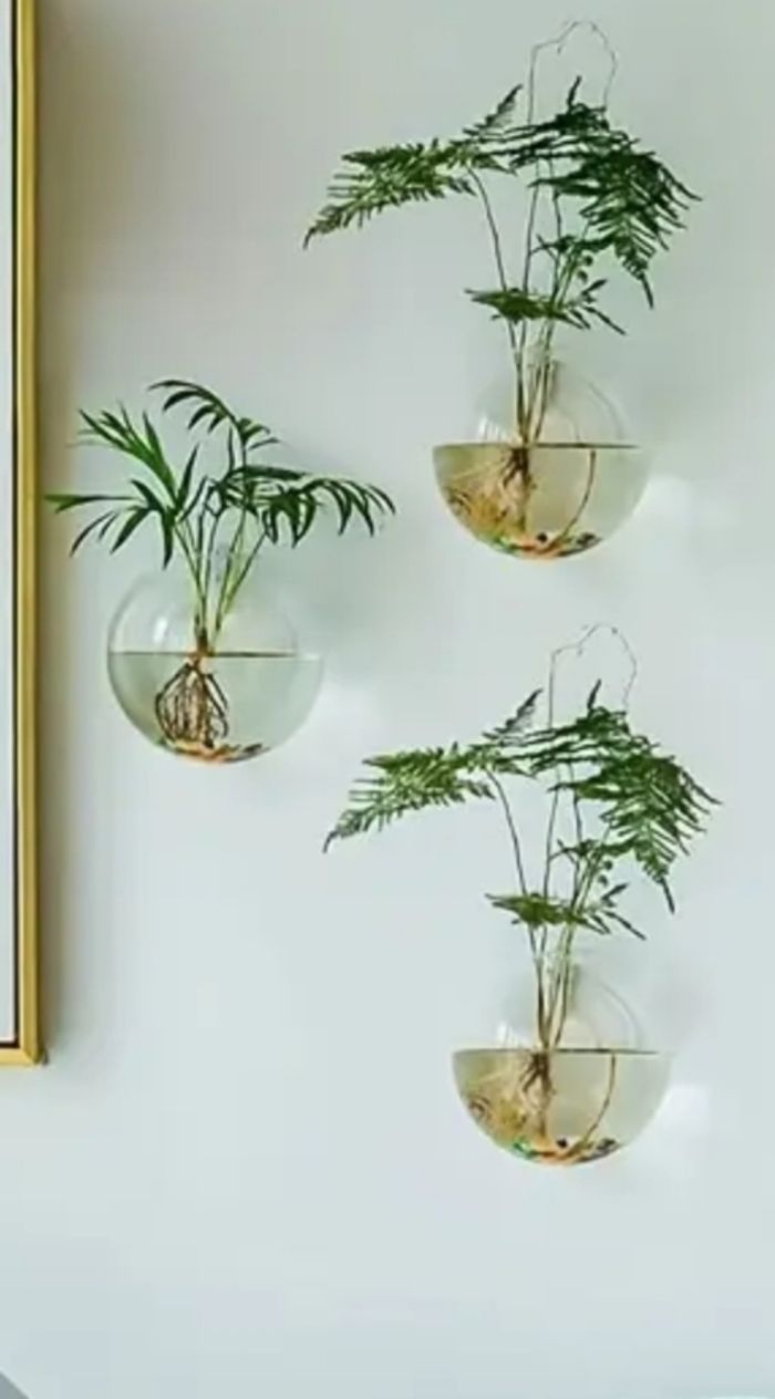 Suspension vase plantes, boutures - photo numéro 2