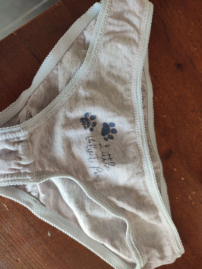 Lot de 7 culottes 2-3  ans et de 5 paires de chaussettes taille 22 - photo numéro 5