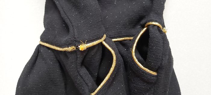 Robe manche longue 3 ans - photo numéro 5