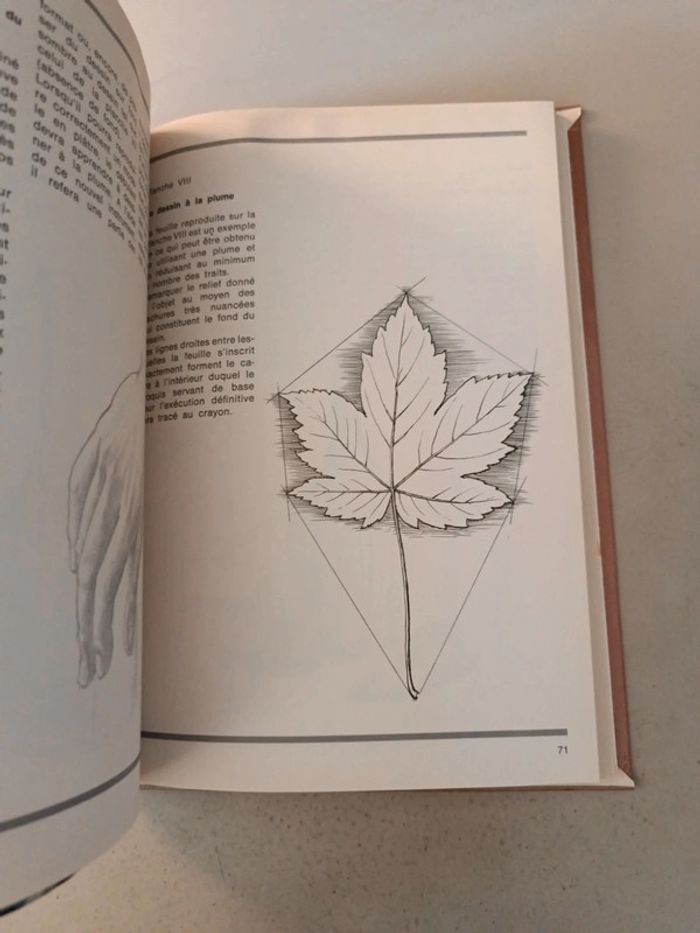 Cours rapide de dessin ou comment apprendre à dessiner tout seul - photo numéro 17