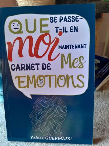 Que se passe t.il en moi maintenant. CARNET de mes emotions