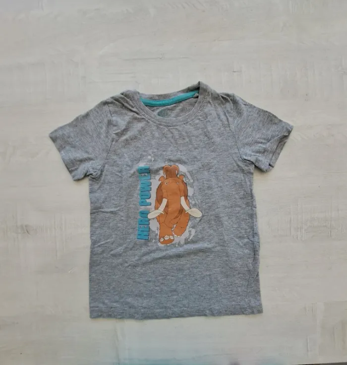 Lot de 2 T-shirts - taille 110-116cm - Age de glace - Zeeman - coton - photo numéro 2