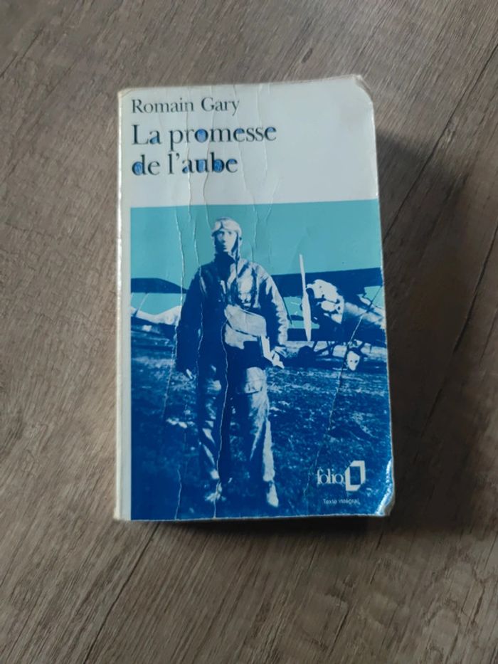 La promesse de l'aube