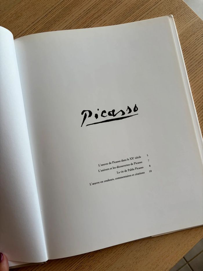Livre Picasso - photo numéro 3