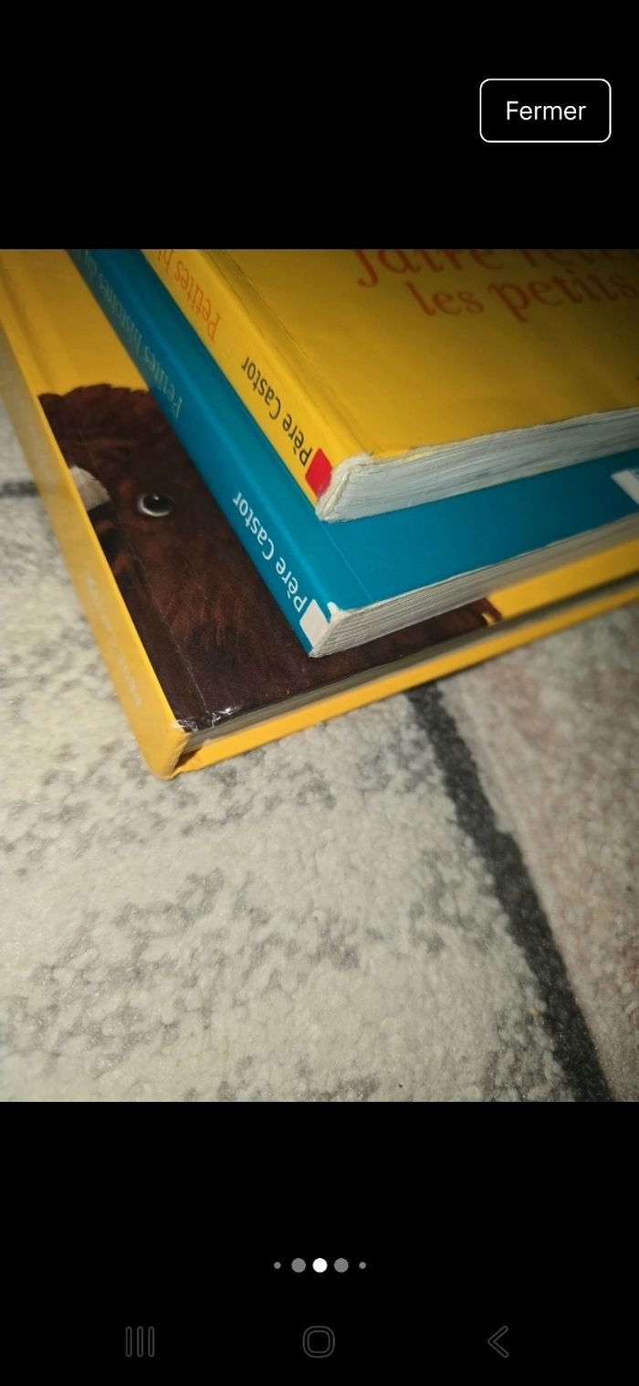Lot 3 livres père castor - photo numéro 4