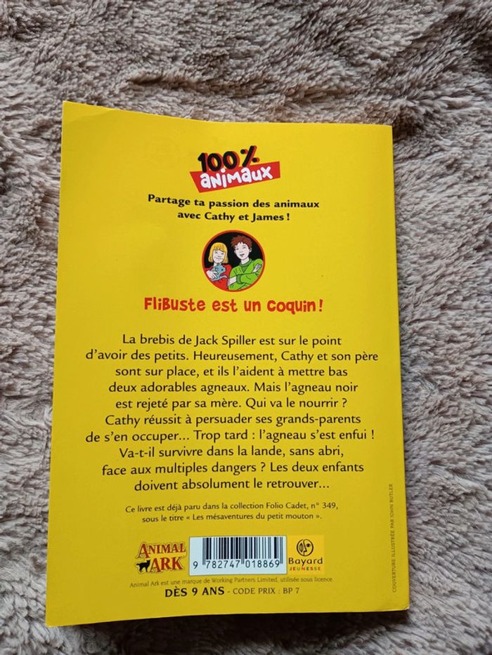 Livre flibuste est un coquin - photo numéro 3