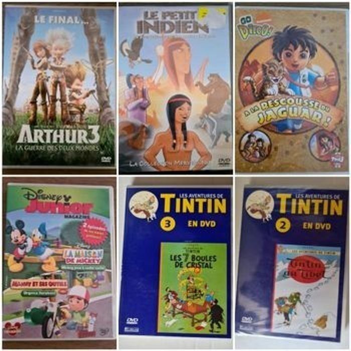 Dvd enfants disney, barbapapa, little People, tintin,dreamworks, pokemon en très bon etat - photo numéro 4